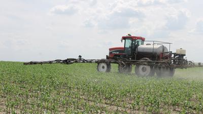 Spraying