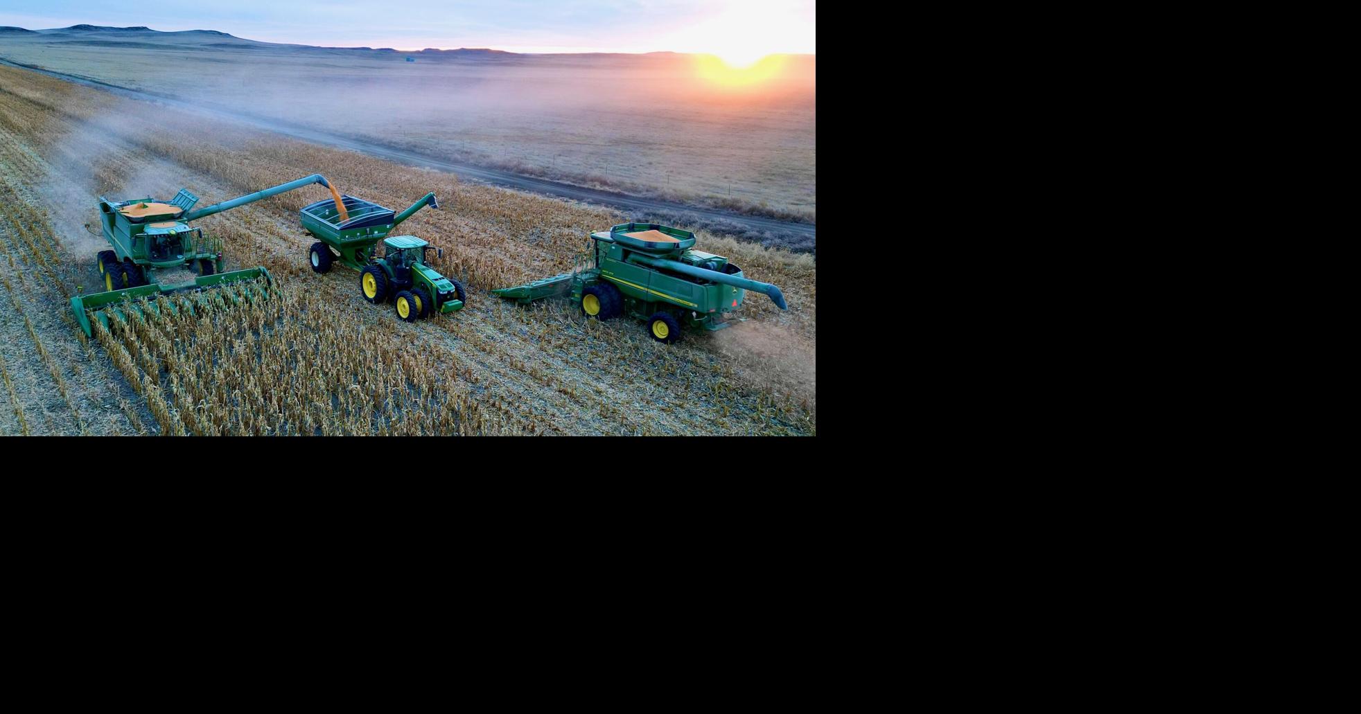 No ‘rising tide’ for January crop markets