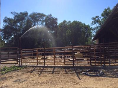 Cattle sprinklers