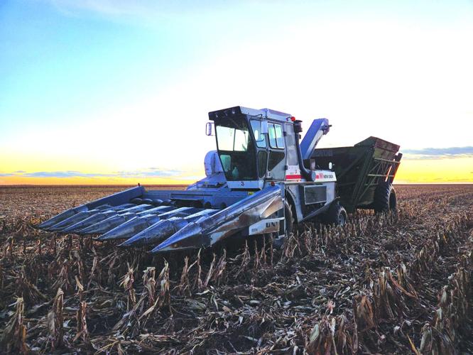 CW Briggs 2 - worked.jpg