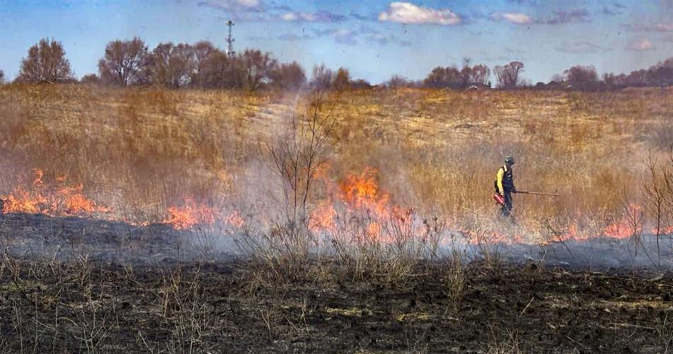 Controlled burn