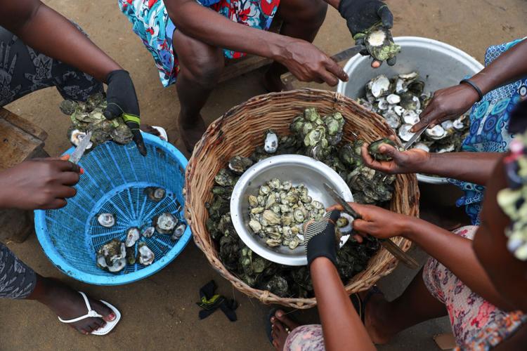 YE Climate 2025 Photo Gallery