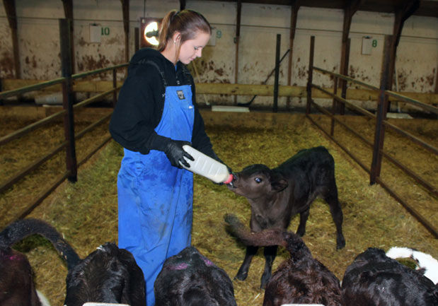 Bottle feeding
