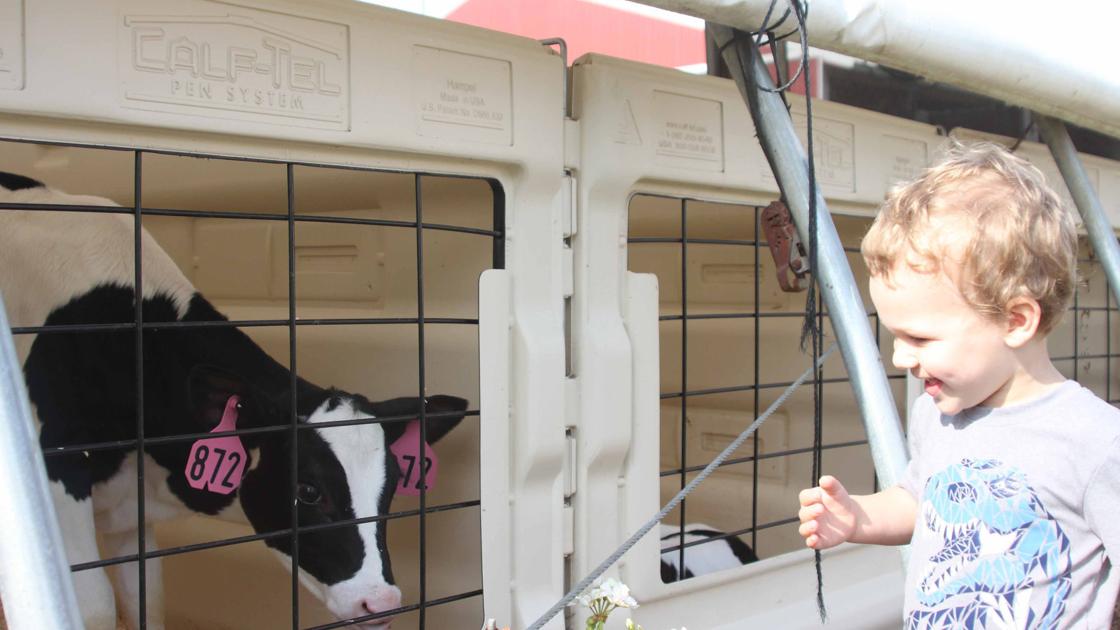 2021 Wisconsin Dairy Breakfasts Farm Life Agupdate Com Wisconsin Dairy Breakfast Schedule 2022