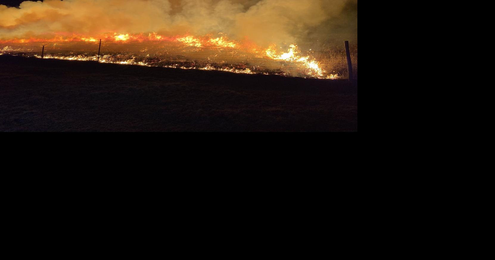 'Only you can prevent forest fires'