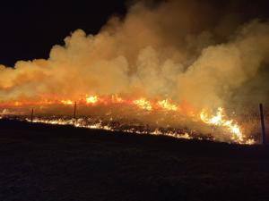 'Only you can prevent forest fires'