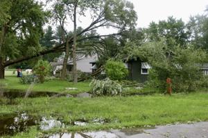 Tree crushes house in Schererville