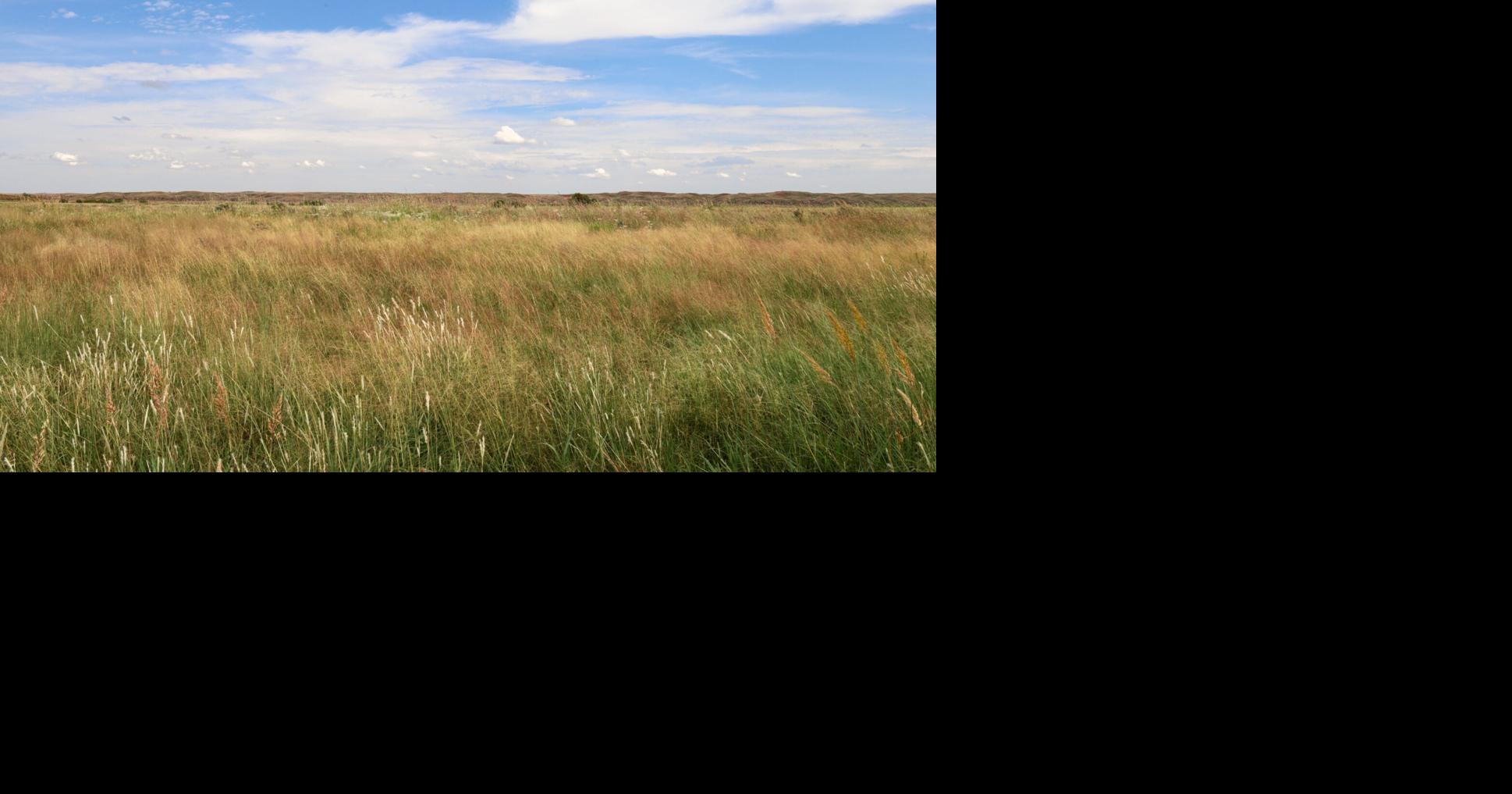 Red Hills rancher 4.jpg