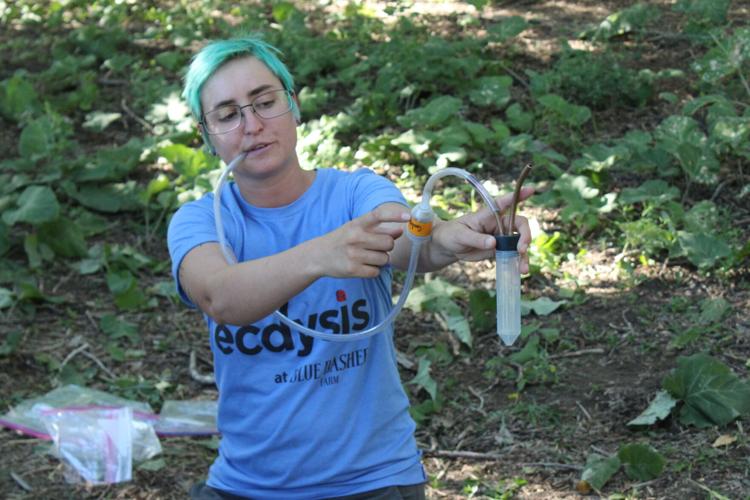 Blue Dasher field day (183).JPG