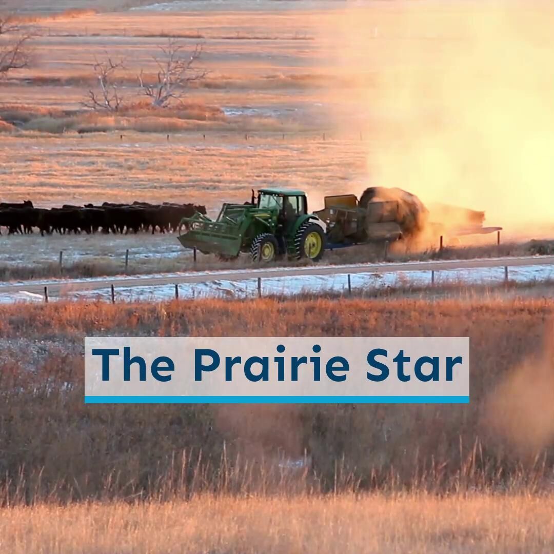 The Prairie Star Dec. 29 Preview Video 