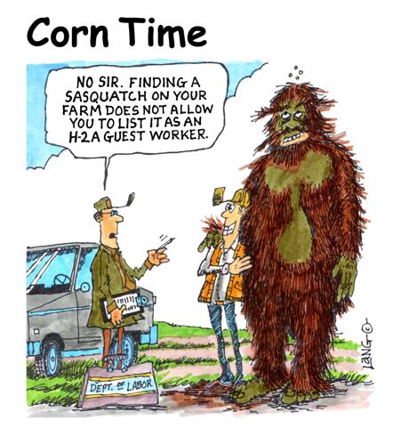 Corn Time by Bob Lang