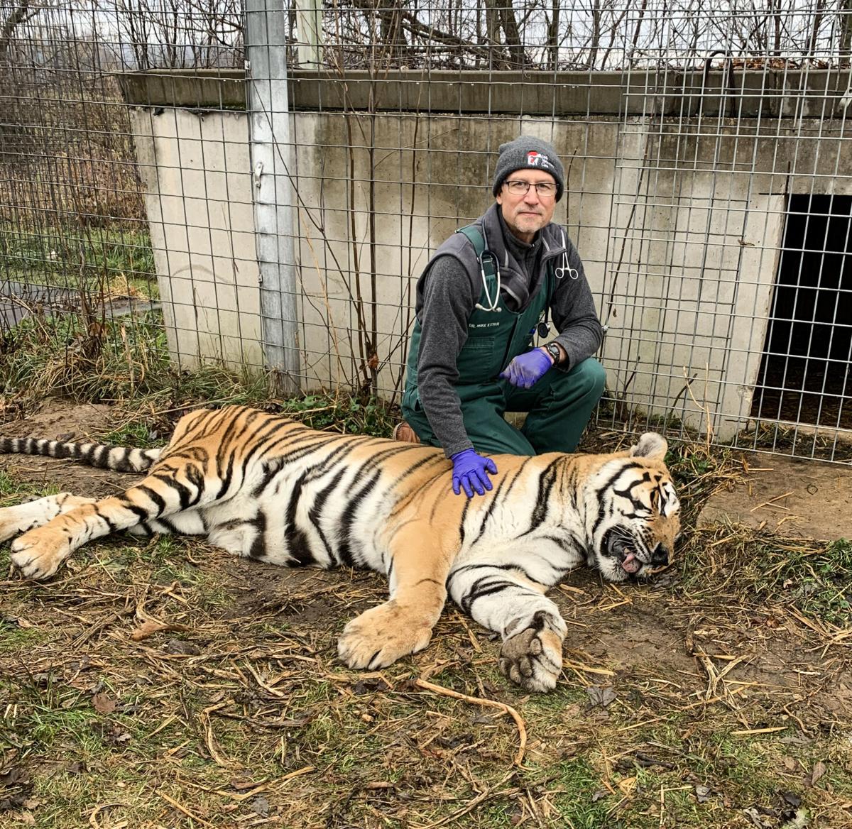 Mike Etter with tiger