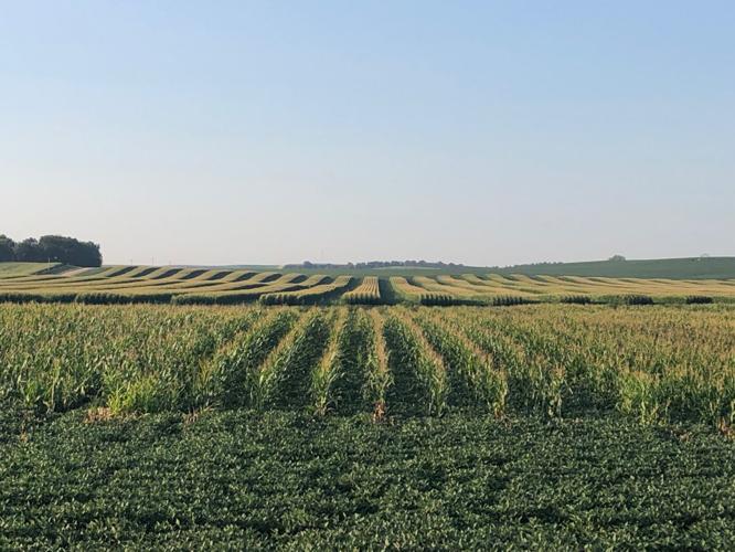 Outside the box 7.jpg