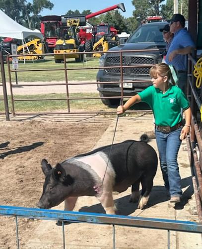 PPR Spickelmier 2.jpg