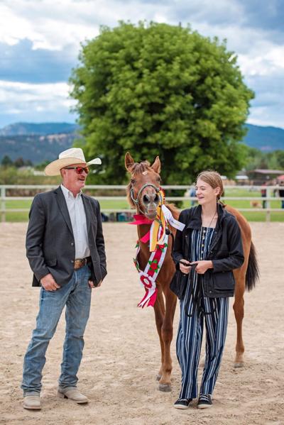 Montana mustang training challenge seeks competitors