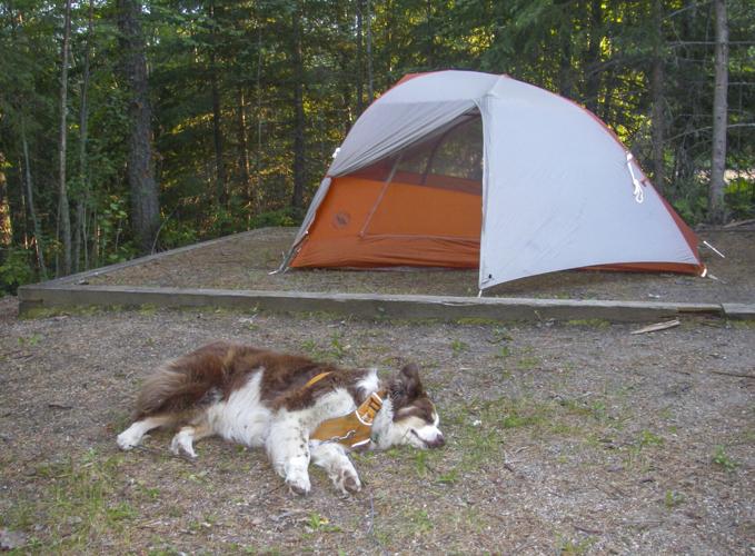 Red sleeps