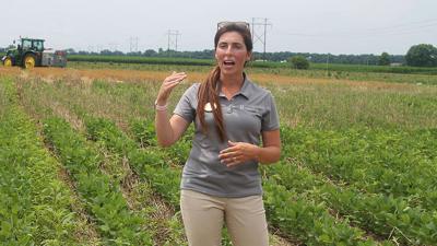 Camille Lambert discusses the value of cover crops