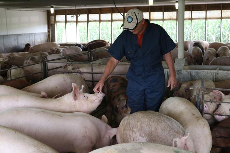 Pork industry update (2).JPG