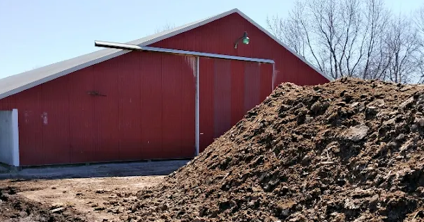 Nitrogen availability differs depending on manure type