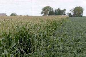 Kansas State University economist warns of fuel, fertilizer price shock for farmers
