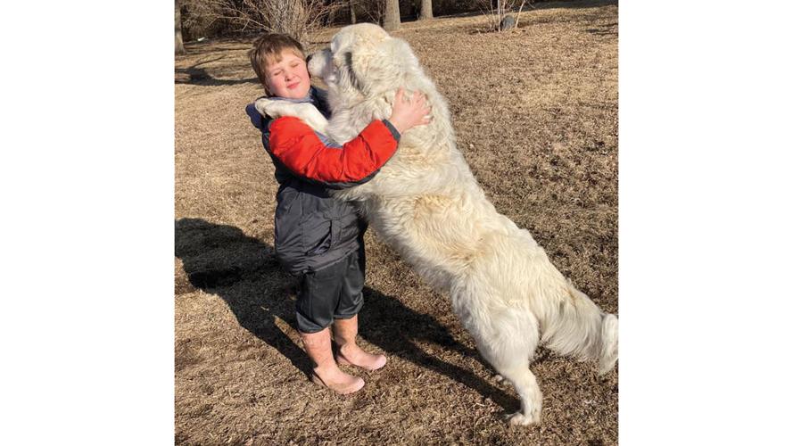Bear forgets his size sometimes.