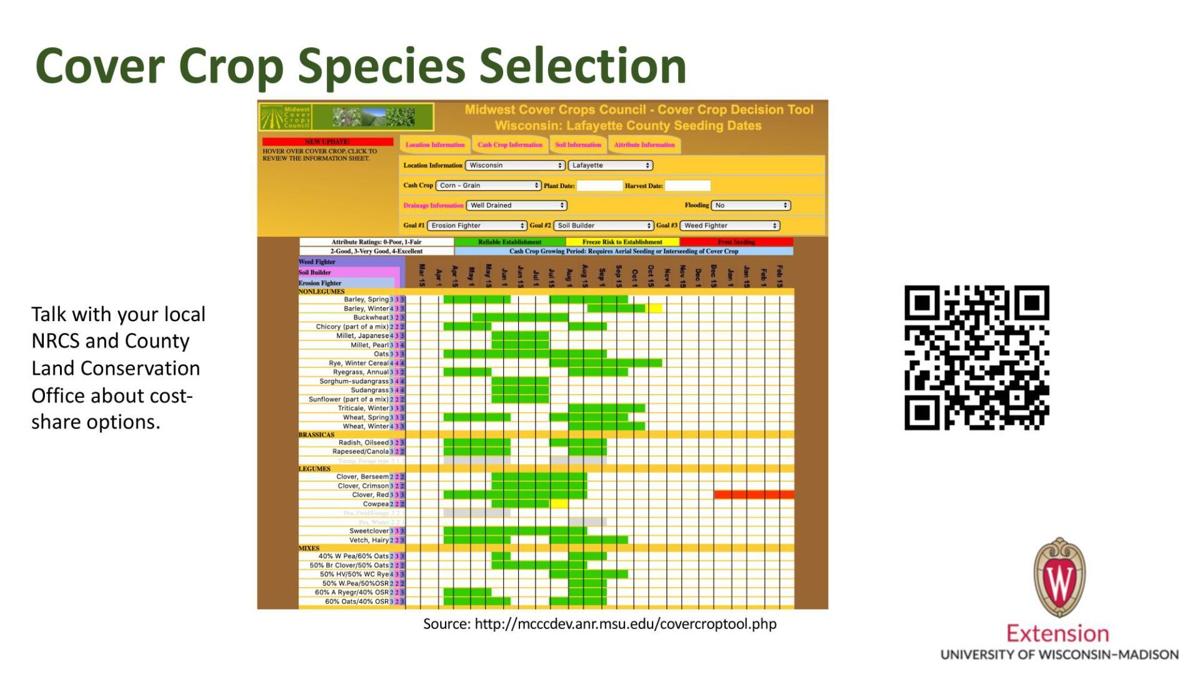 Cover Crop Species Selection