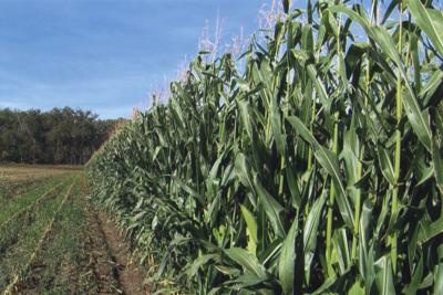Nutrien Ag