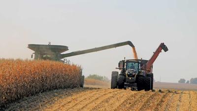 Harvest rolls along in Cedar County