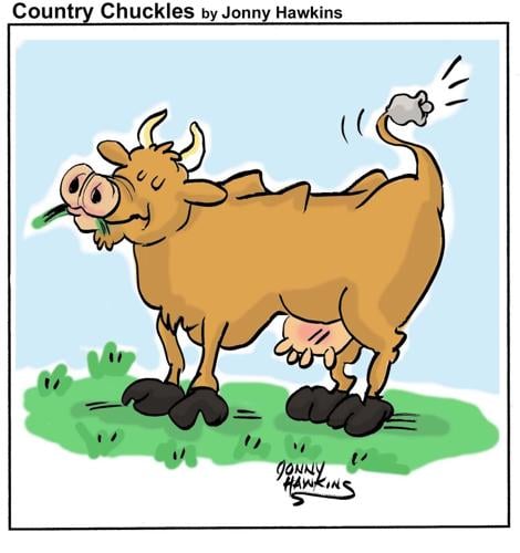 Country Chuckles by Jonny Hawkins