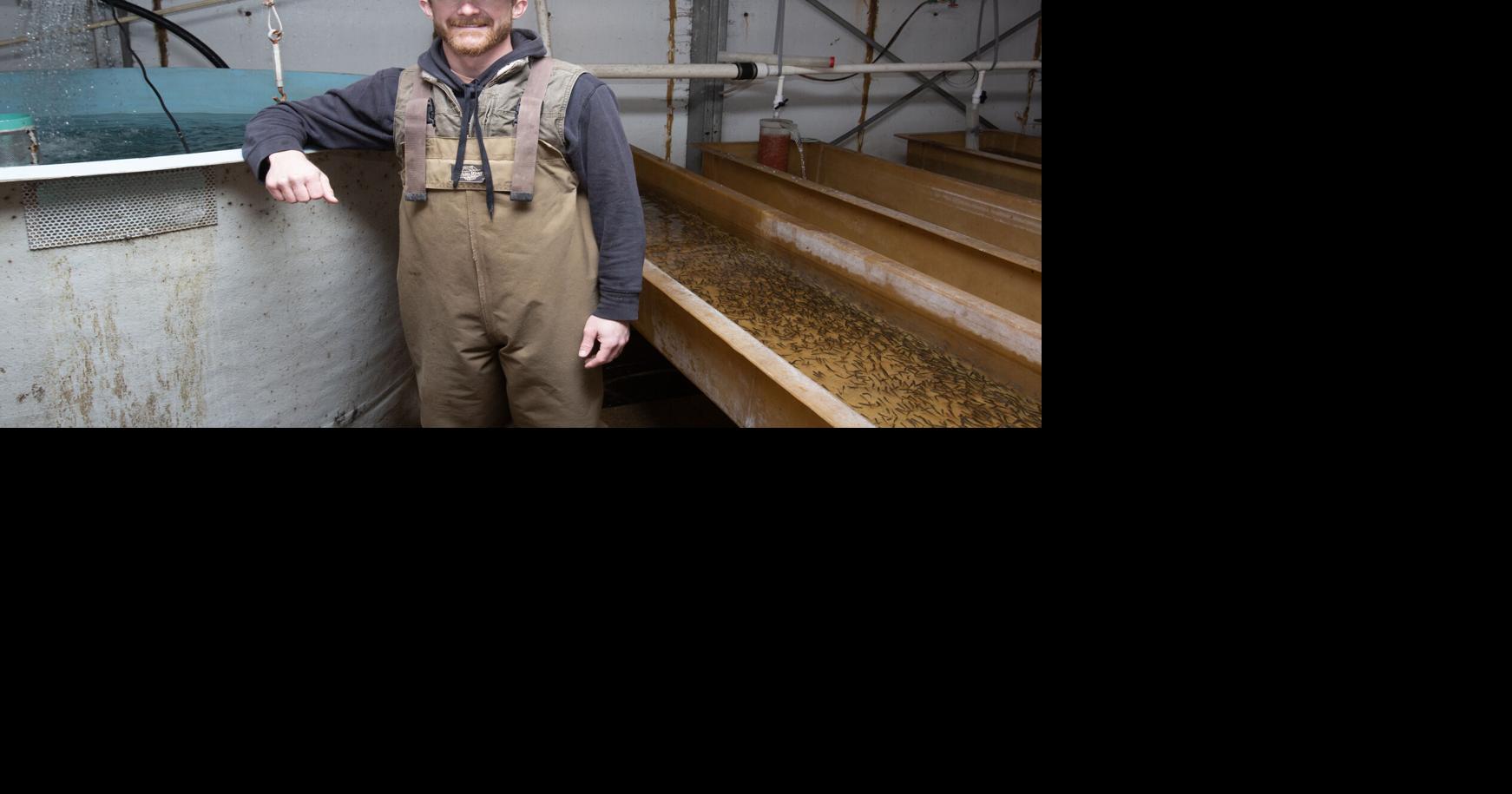 Shrimp farming (7).jpg