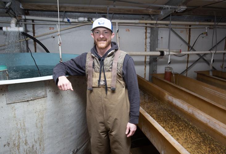 Shrimp farming (7).jpg