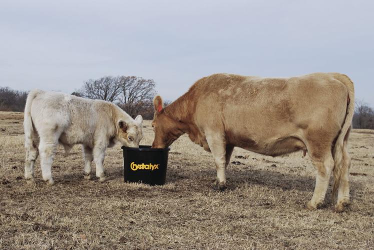 Mineral intake (2).jpg