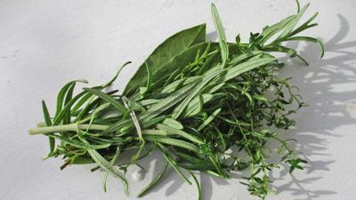 Bouquet_garni_01-Wikimedia-Commons