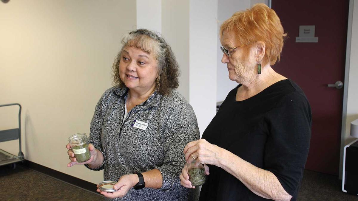 University of Illinois Extension master gardeners Johanna Sanders and Marcia Hirst