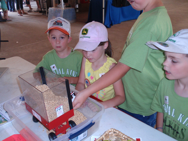 Grain isn’t child’s play: Concern raised about corn play areas II