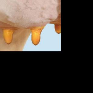 Science, testing set best teat dips apart