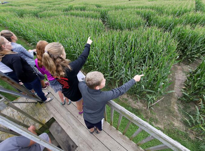 Treinen Corn Maze