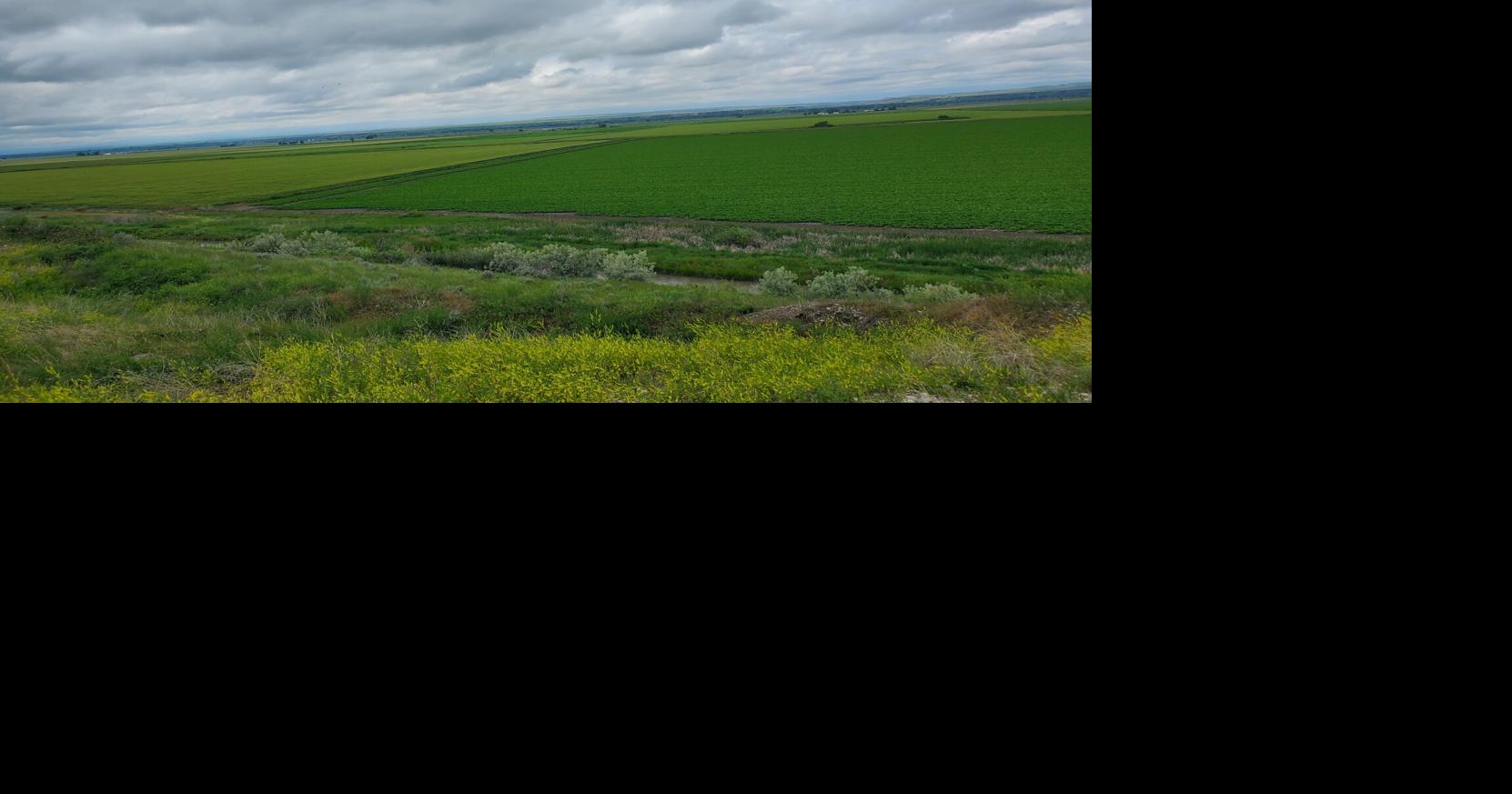 Uffelman works with fellow sugarbeet farmers to ensure strong markets