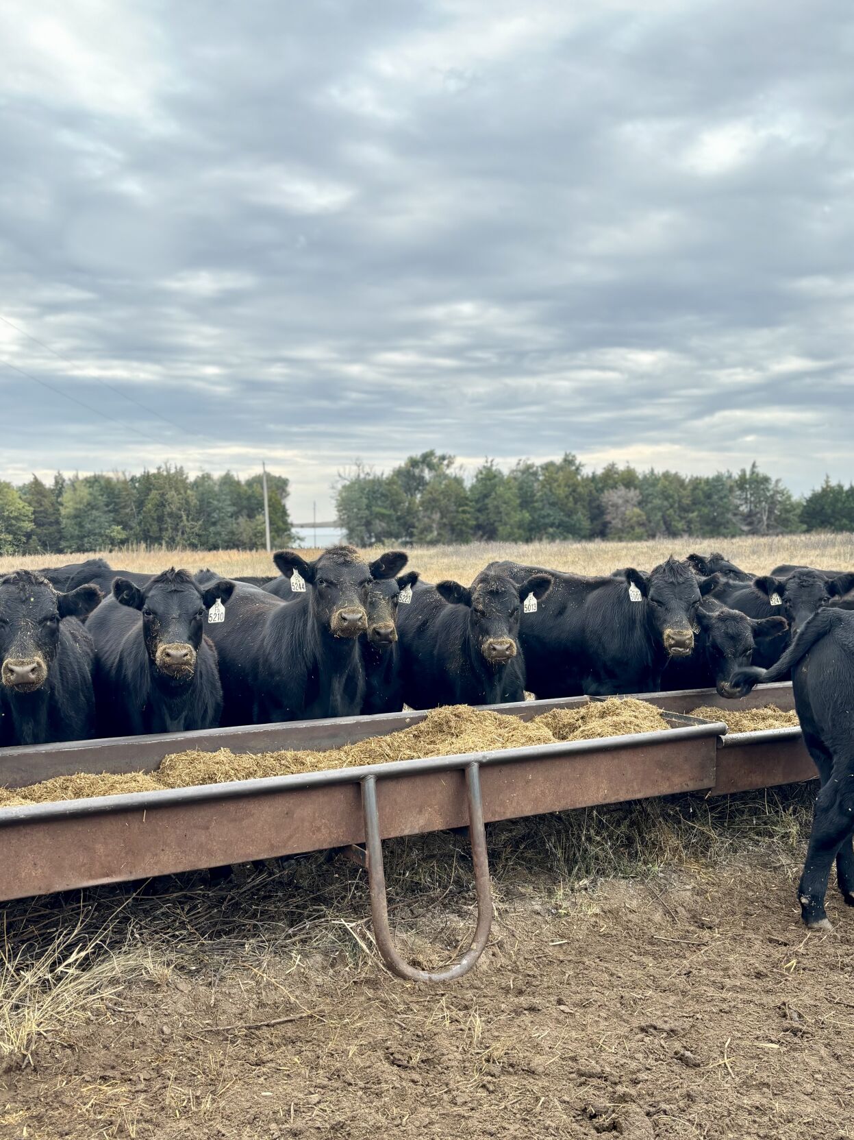 Sandhills Sunrise 3.jpg