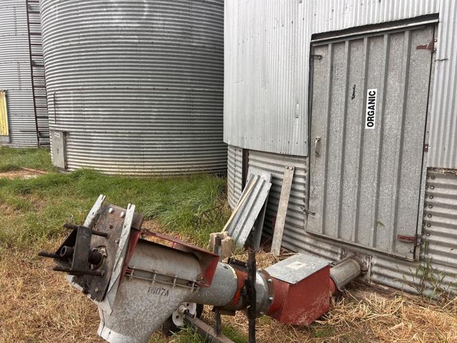 Burggraff field day (1).jpg