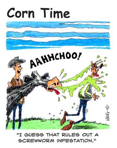 Corn Time by Bob Lang