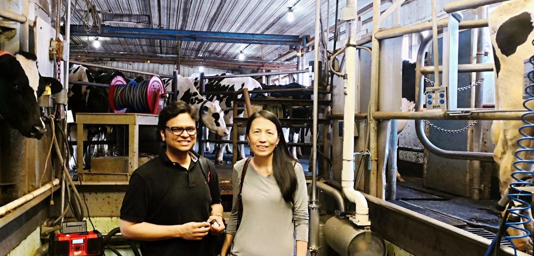 Anshuman Das and Julia Somerdin at Fairchild Dairy Teaching and Research Center