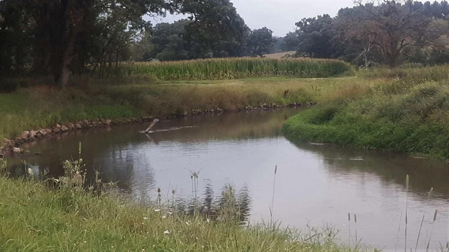 Pecatonica River showing rip-rap and fish structure