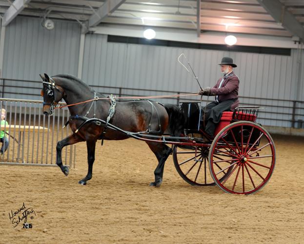 2  - 2015 Harlan driving 617-164 grunden.jpg