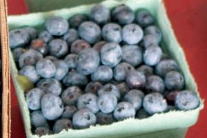 Blueberry Oat Scones recipe