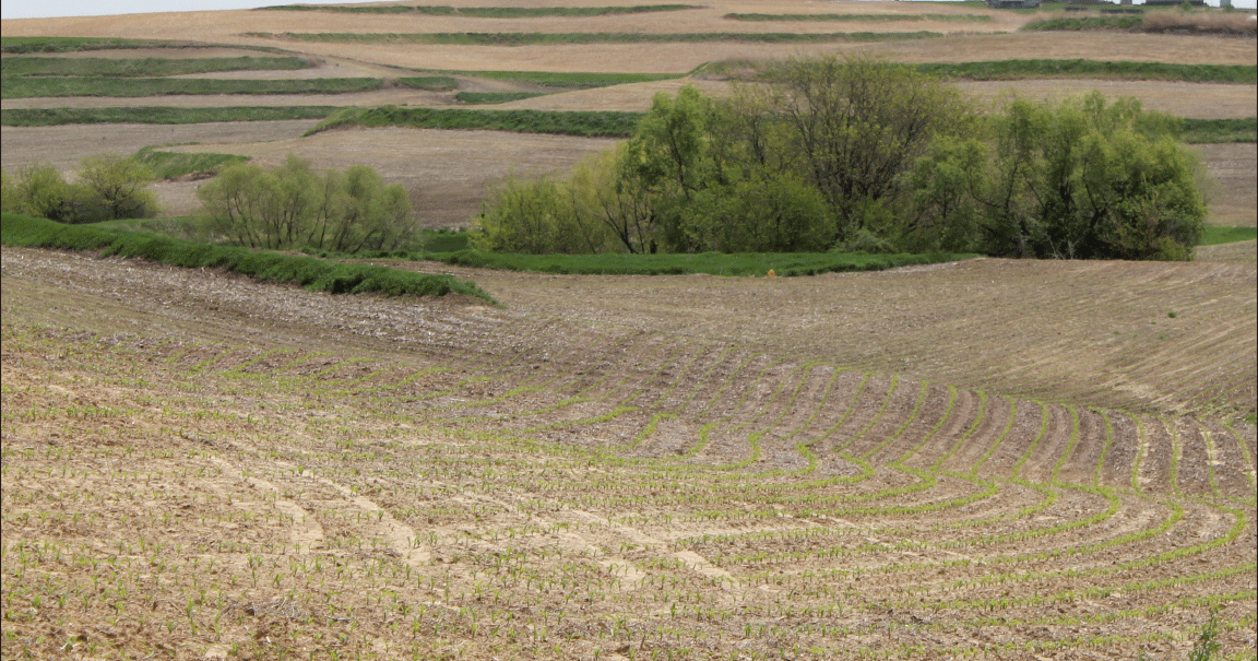 Funding guides conservation and business decisions
