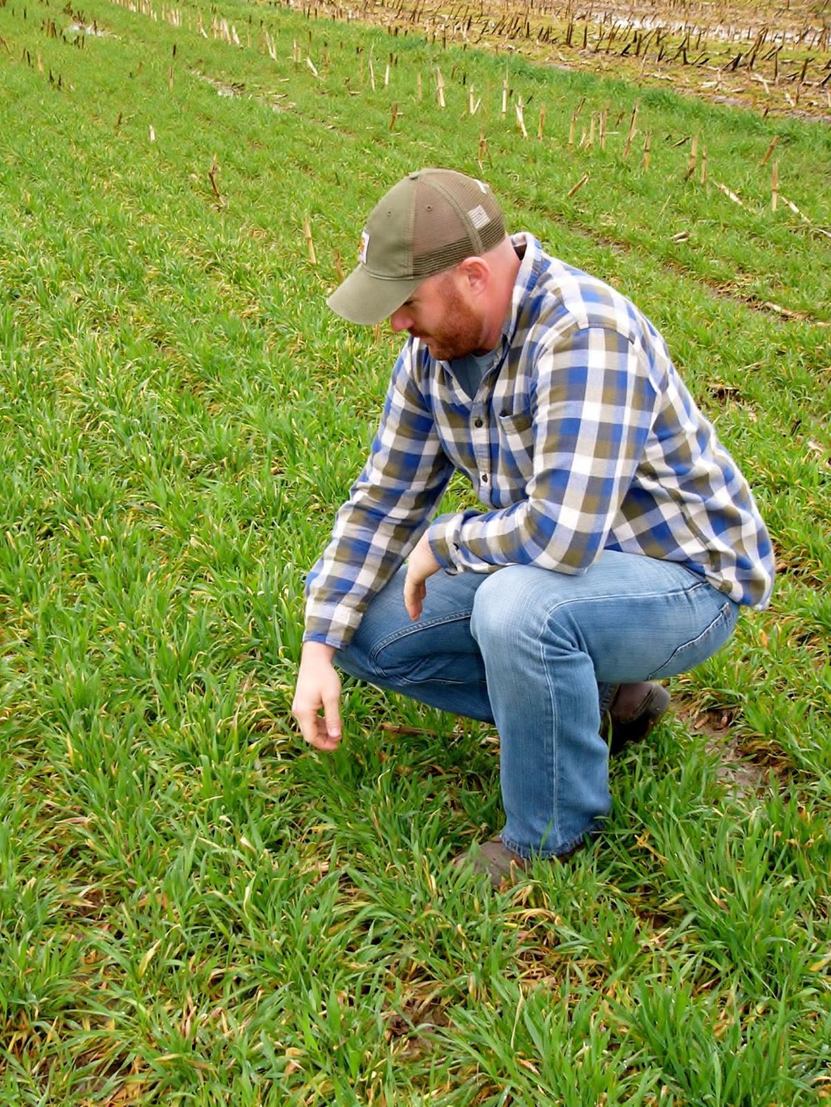 Be Involved In Agriculture S Cover Up Crops Agupdate Com
