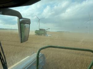 Small grain harvest slow in damp conditions