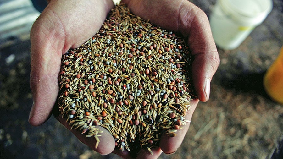 Cover crop seed in hands