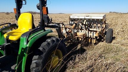 Seeding strips
